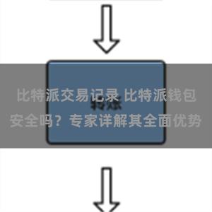 比特派交易记录 比特派钱包安全吗？专家详解其全面优势