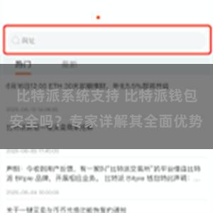 比特派系统支持 比特派钱包安全吗？专家详解其全面优势