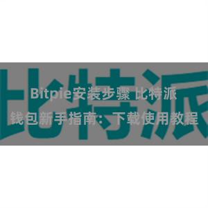 Bitpie安装步骤 比特派钱包新手指南：下载使用教程