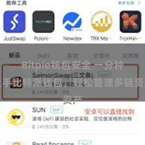 Bitpie钱包安全 一分钟上手比特派钱包，轻松管理多链资产