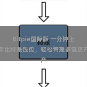 Bitpie国际版 一分钟上手比特派钱包，轻松管理多链资产