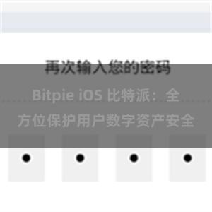 Bitpie iOS 比特派：全方位保护用户数字资产安全