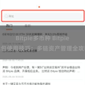 Bitpie多币种 Bitpie钱包使用技巧：多链资产管理全攻略