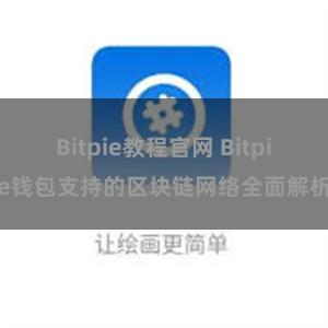 Bitpie教程官网 Bitpie钱包支持的区块链网络全面解析