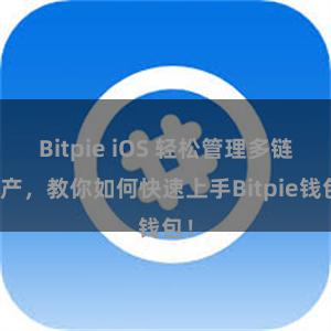 Bitpie iOS 轻松管理多链资产，教你如何快速上手Bitpie钱包！