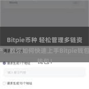 Bitpie币种 轻松管理多链资产，教你如何快速上手Bitpie钱包！