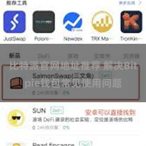 比特派官网地址推荐 解决Bitpie钱包常见使用问题