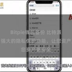 Bitpie钱包备份 比特派钱包：强大的隐私保护功能，让您资产更安全