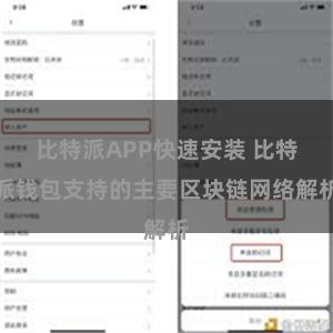 比特派APP快速安装 比特派钱包支持的主要区块链网络解析