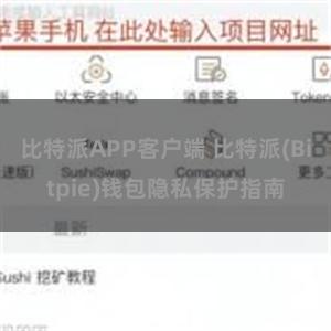 比特派APP客户端 比特派(Bitpie)钱包隐私保护指南