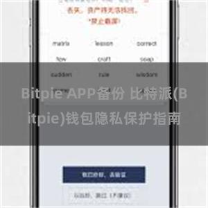 Bitpie APP备份 比特派(Bitpie)钱包隐私保护指南