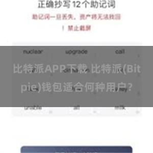 比特派APP下载 比特派(Bitpie)钱包适合何种用户？