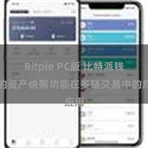 Bitpie PC版 比特派钱包的资产快照功能在多链交易中的应用
