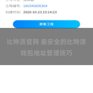 比特派官网 最安全的比特派钱包地址管理技巧