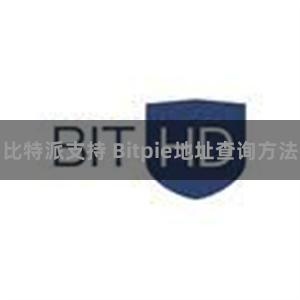 比特派支持 Bitpie地址查询方法
