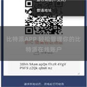 比特派APP 轻松管理你的比特派在线账户