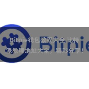 Bitpie钱包教程大全 比特派教程地址大全，精彩分享！