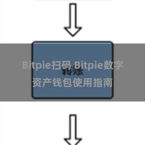 Bitpie扫码 Bitpie数字资产钱包使用指南