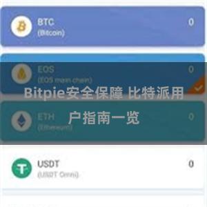 Bitpie安全保障 比特派用户指南一览