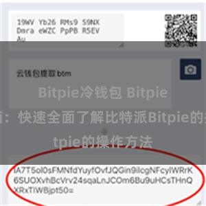 Bitpie冷钱包 Bitpie交易指南：快速全面了解比特派Bitpie的操作方法