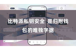 比特派私钥安全  是归附钱包的唯独字据