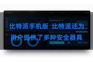 比特派手机版  比特派还为用户提供了多种安全器具